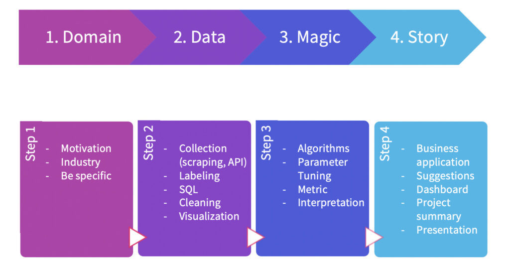 Data Science portfolio project procedure