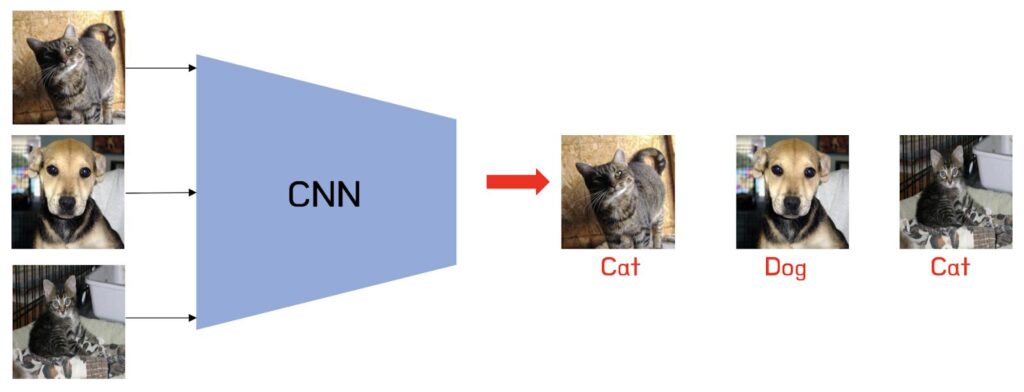 WeCloudData,com breaks down how CNN works